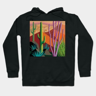 Tucson Desert (Square Format) Hoodie